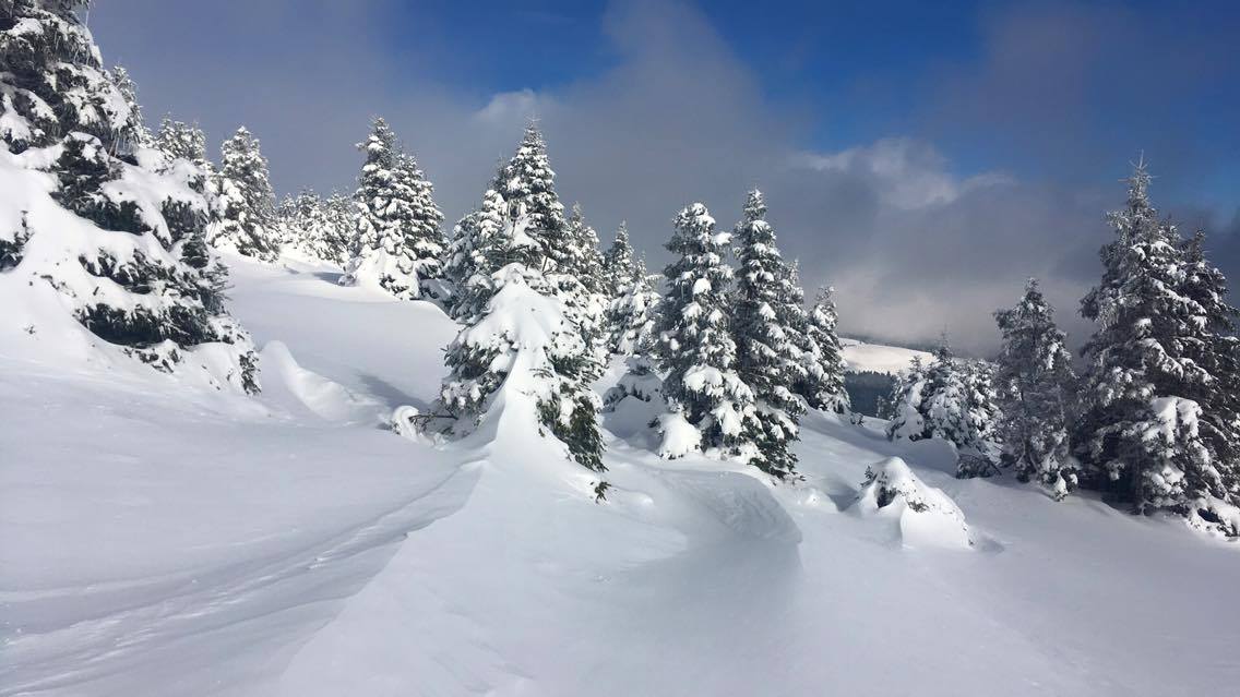 A környék november 13-án - Fotó: Koty