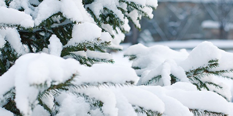 Mindenszentek napján ha szép az idő, kemény telünk lesz