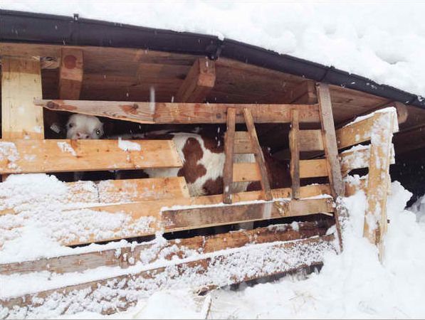 Fotó:  Brunner Images