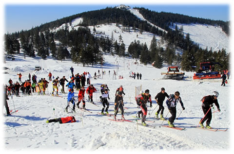 Fotó: Magyari Hunor Fotó: Magyari Hunor