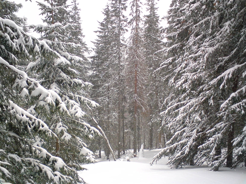 Deres, hátsó völgy