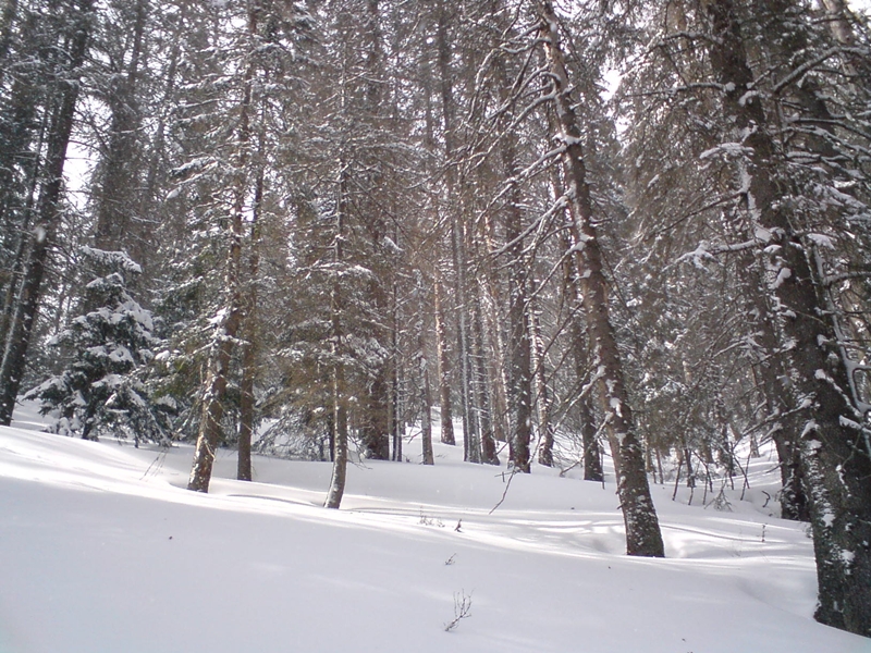 Soha rosszabb szezonzárást!