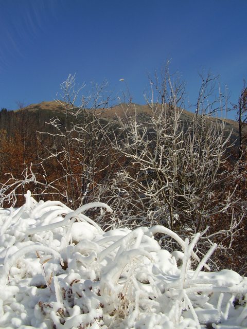 PB160006.JPG