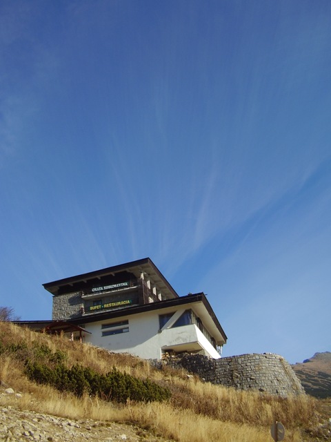 Kosodrevina retrówelnessz