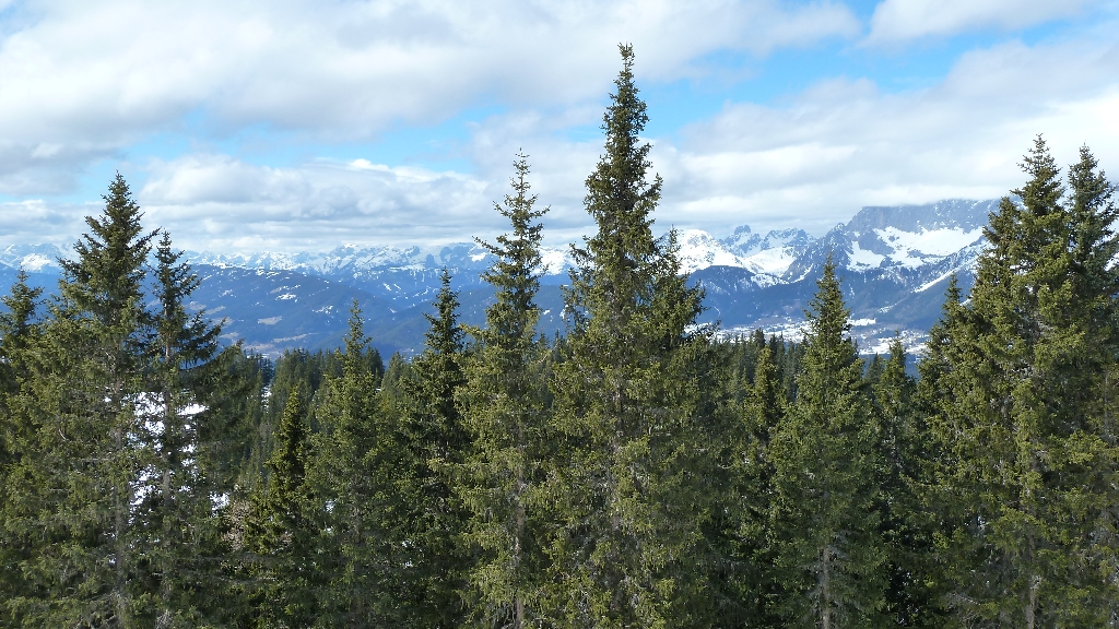 2011-Schladming-05.jpg