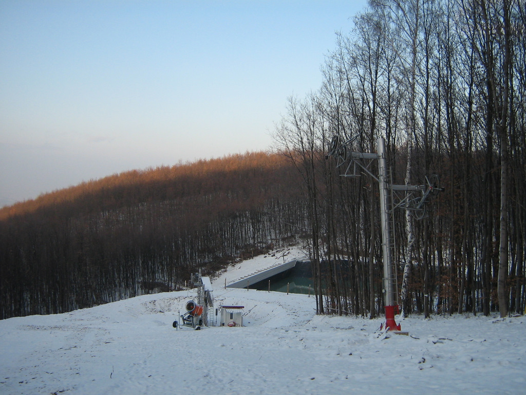 IMG-2597.JPG