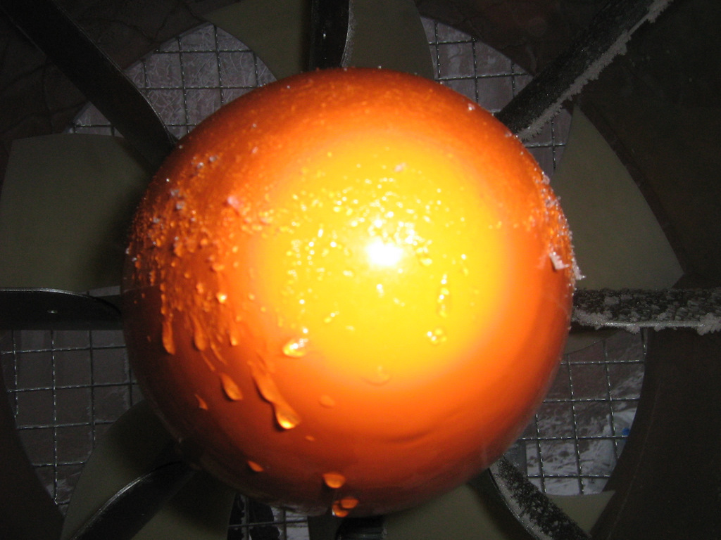 IMG-1976.JPG