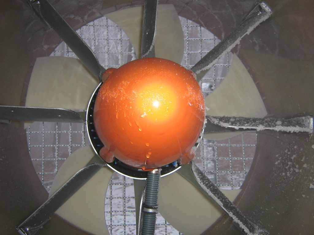 IMG-1977.JPG