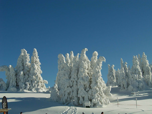 Stuhleck: Fehér Entek