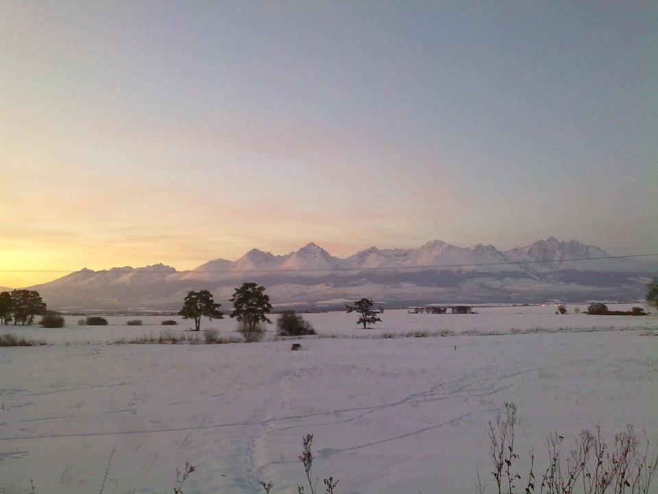 Tatra-a-lemen-nap-fenyeben.jpg