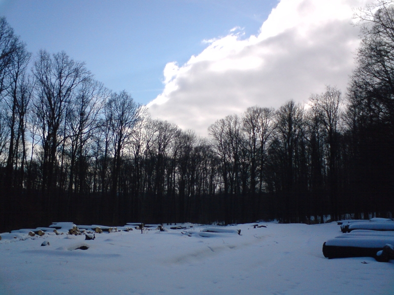 DSC00141.JPG