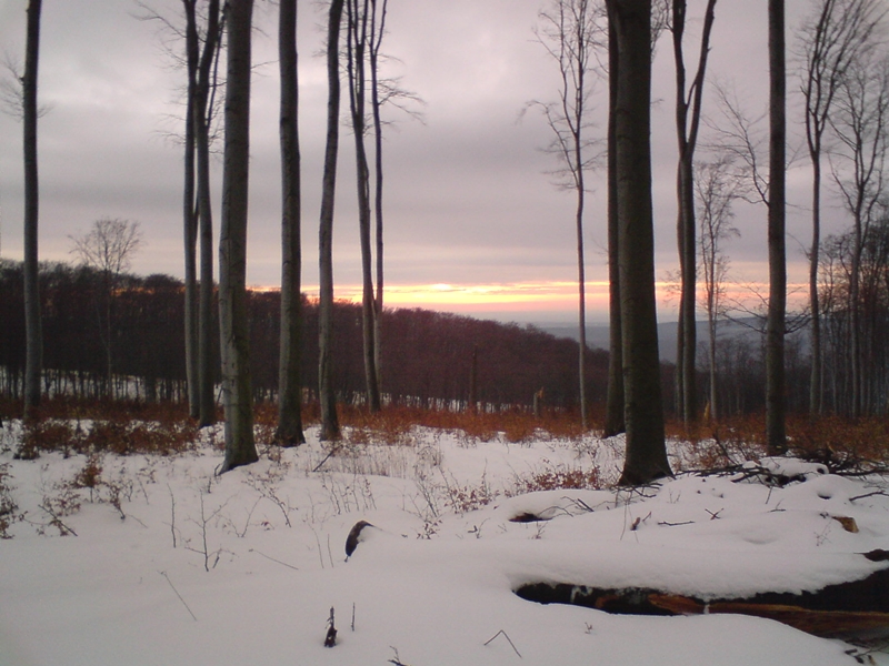 DSC00142.JPG