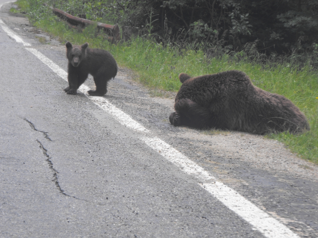 Asszony és leánya 2
