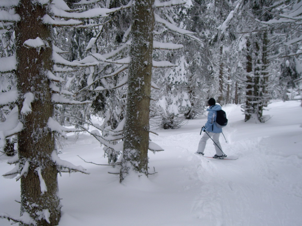 Kopaonik-2.jpg