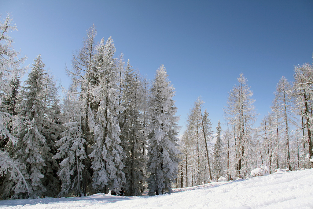 Tauplitz Austria 2010