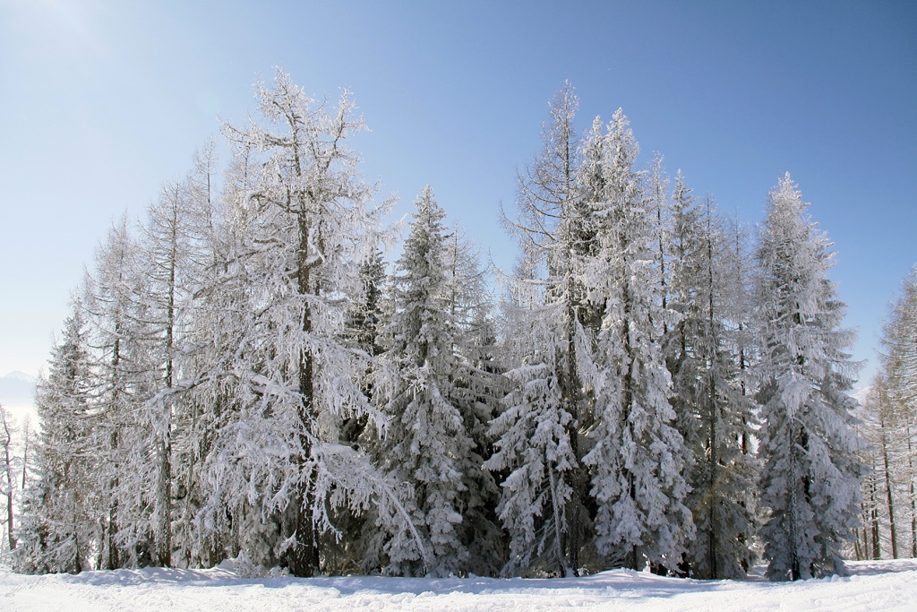 Tauplitz Austria 2010