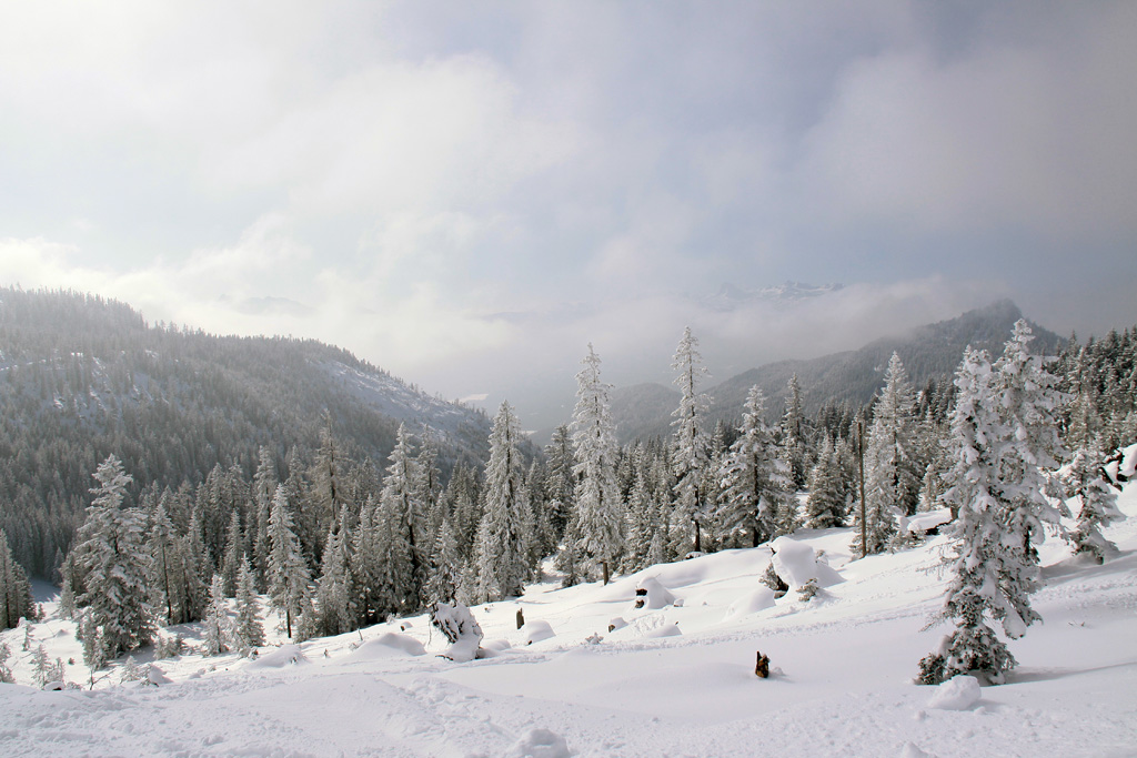 Tauplitz Austria 2010