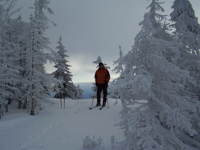 egy partizán a fenyőcsonkok közt az Ördöglakodalma tetején