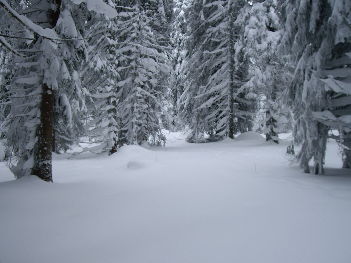 Kopaonik-1.jpg