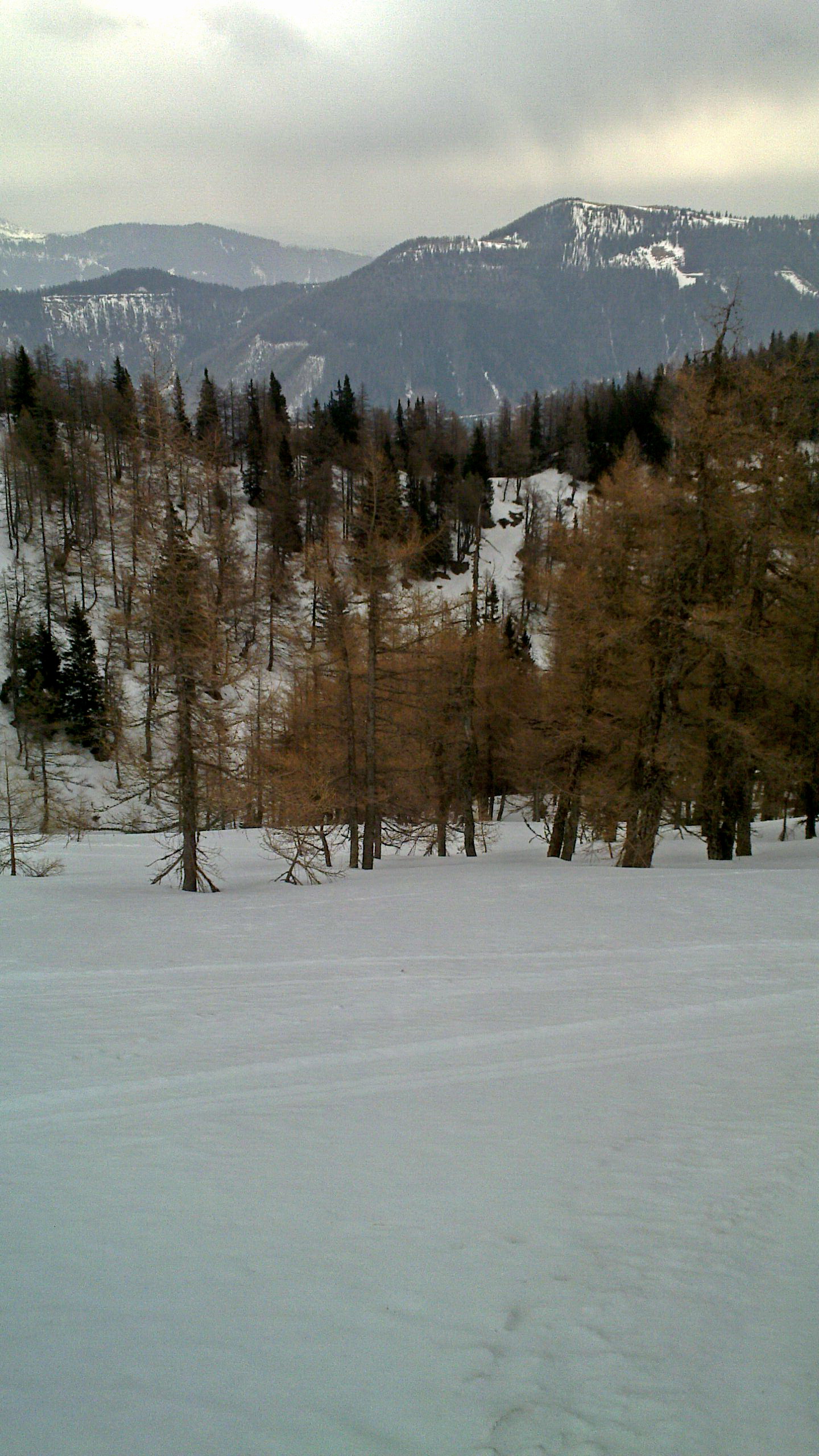 20120324-052.jpg