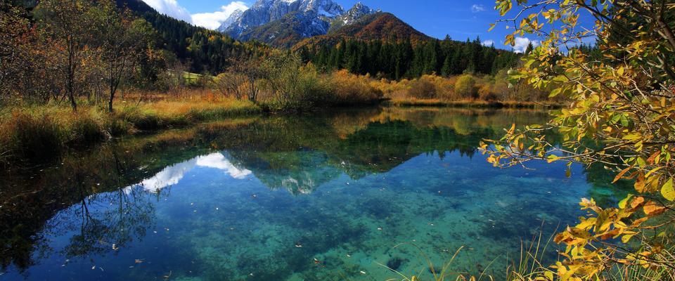 Zelenci Nemzeti Park