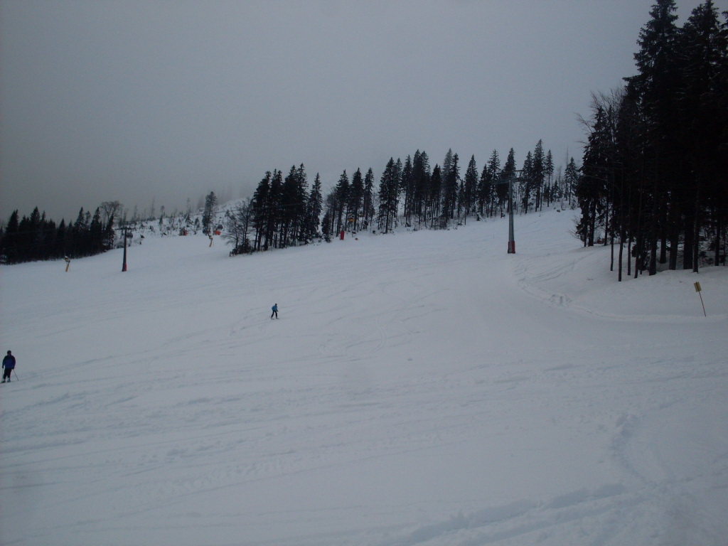 Arber-2012-12--16-025.jpg