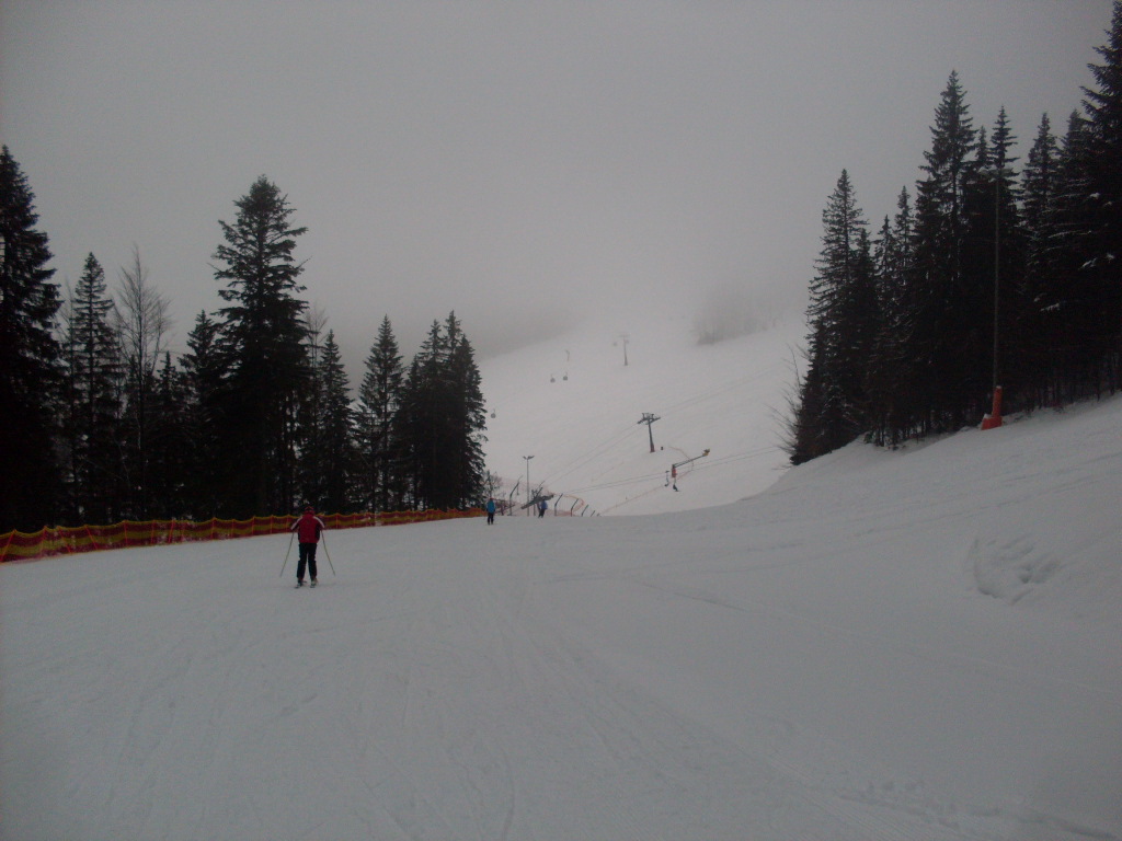 Arber-2012-12--16-049.jpg
