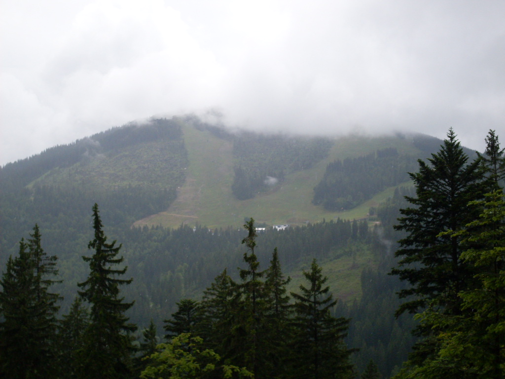 GroBer-Arber-2012-06-10-001.jpg