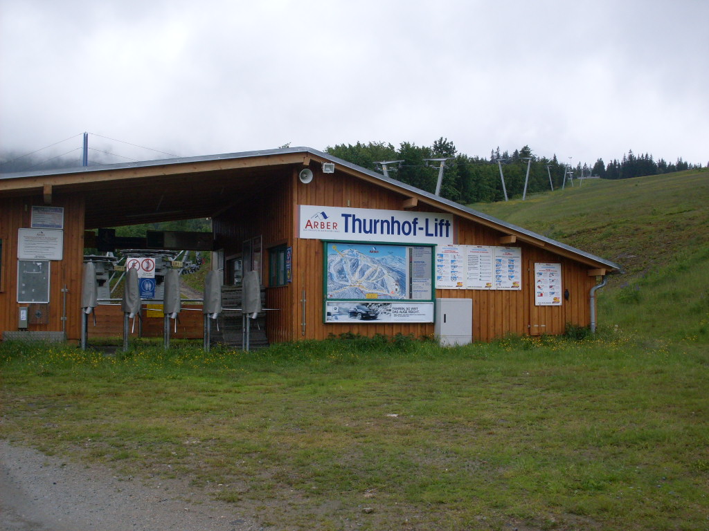 GroBer-Arber-2012-06-10-004.jpg