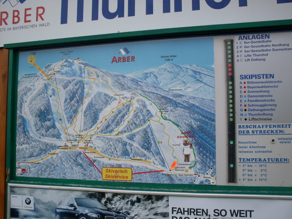 GroBer-Arber-2012-06-10-006.jpg