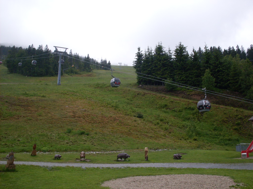 GroBer-Arber-2012-06-10-011.jpg