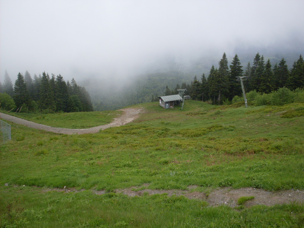 GroBer-Arber-2012-06-10-023.jpg