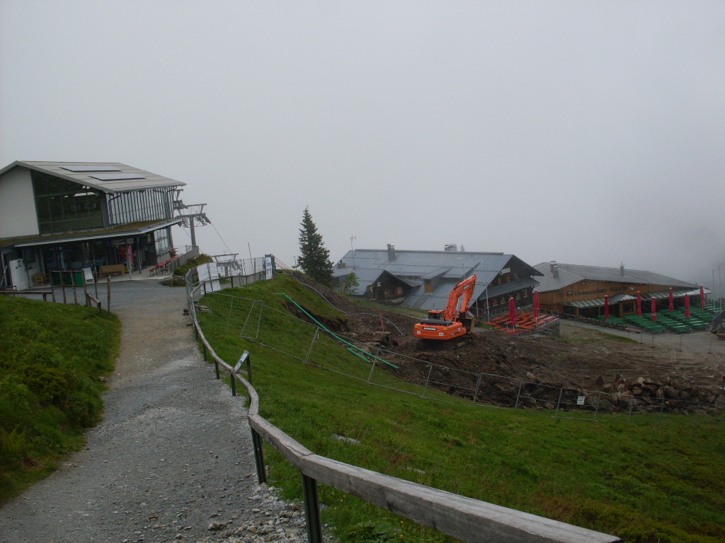 GroBer-Arber-2012-06-10-024.jpg