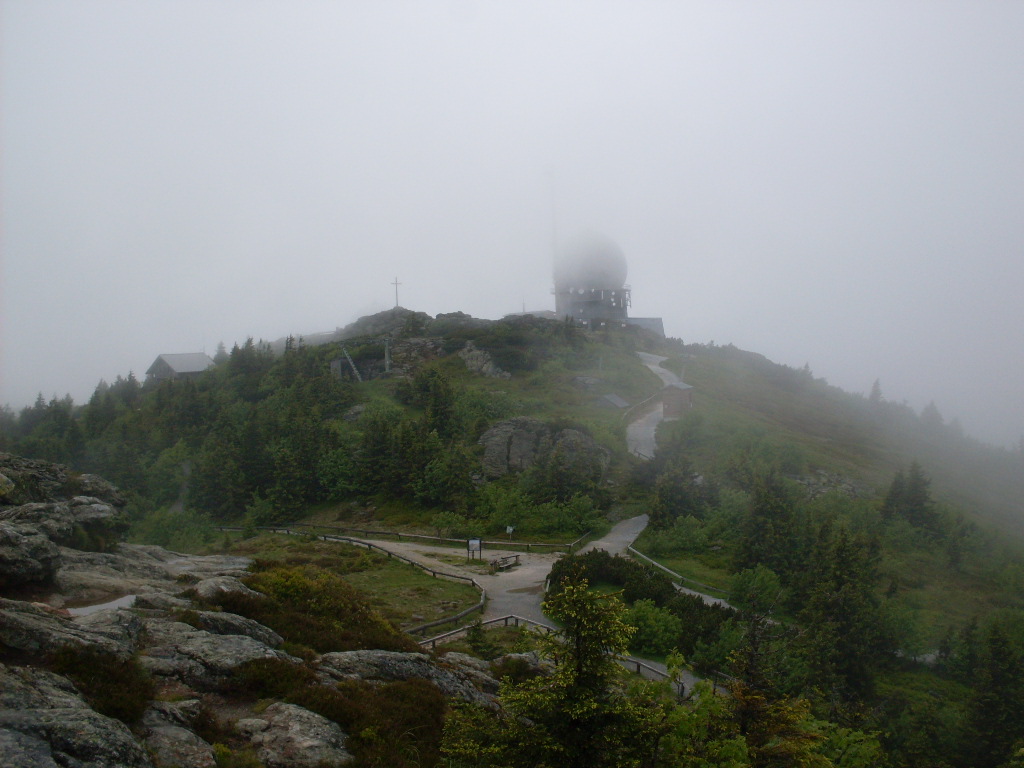 GroBer-Arber-2012-06-10-031.jpg