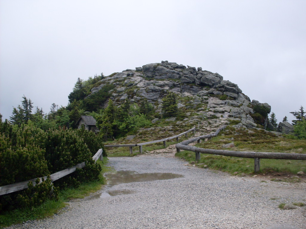 GroBer-Arber-2012-06-10-035.jpg