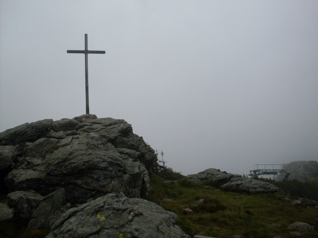 GroBer-Arber-2012-06-10-040.jpg