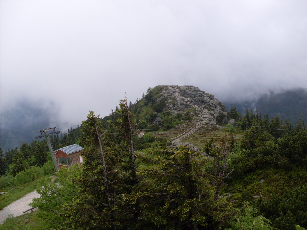 GroBer-Arber-2012-06-10-042.jpg