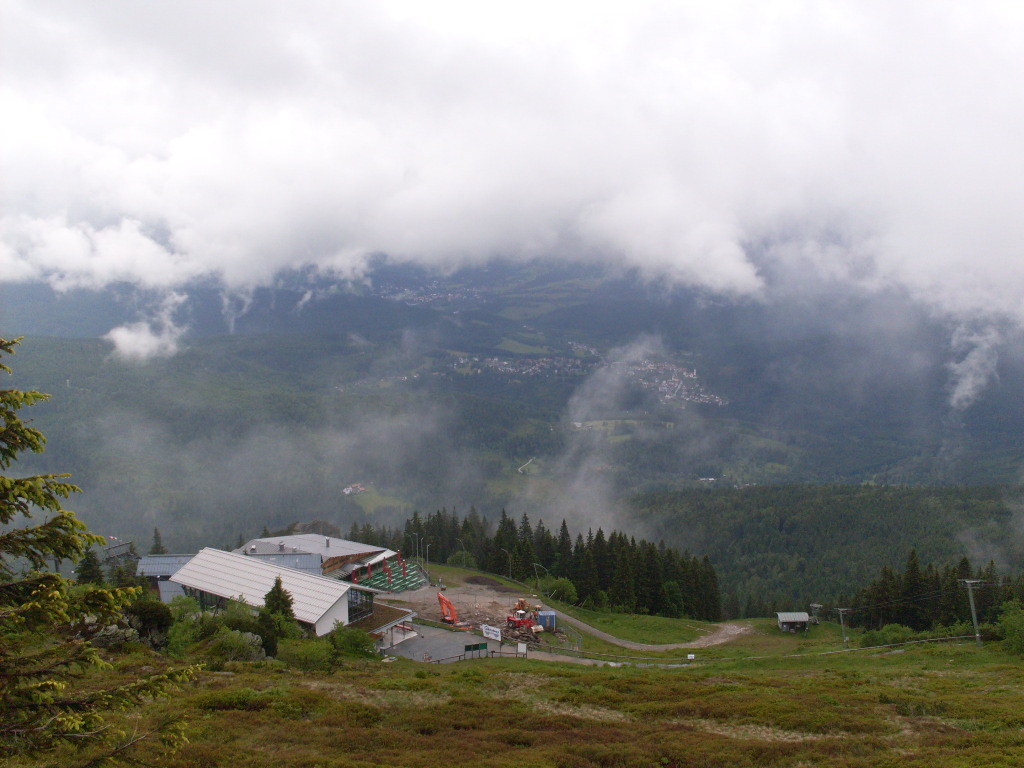 GroBer-Arber-2012-06-10-043.jpg