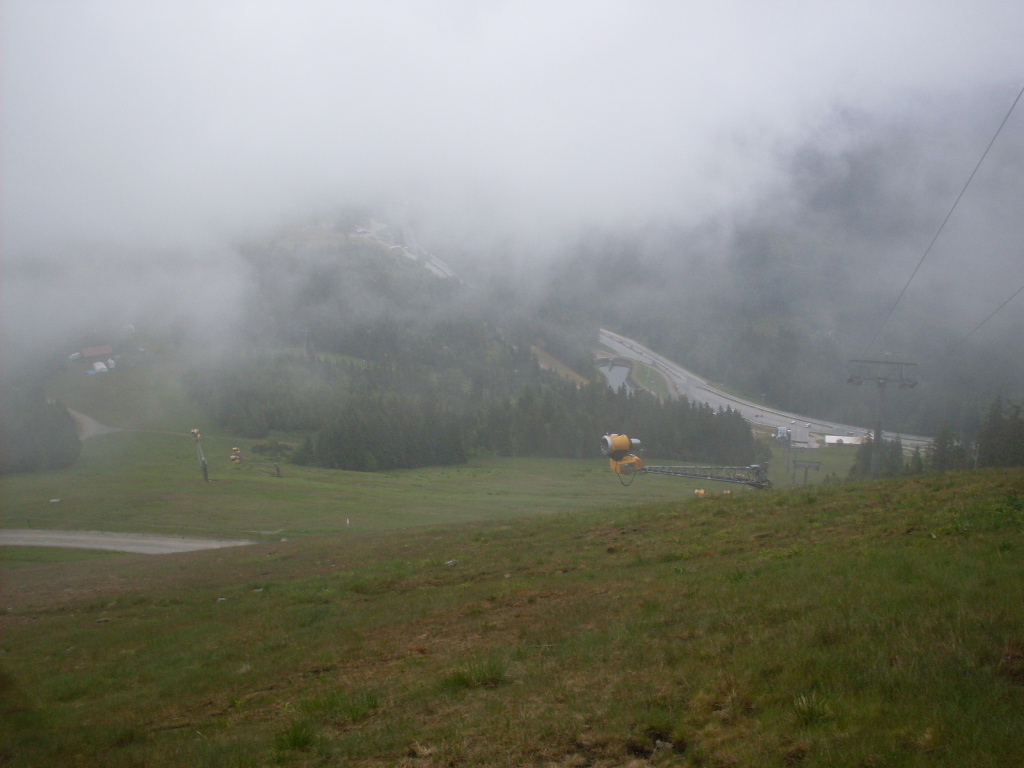 GroBer-Arber-2012-06-10-049.jpg