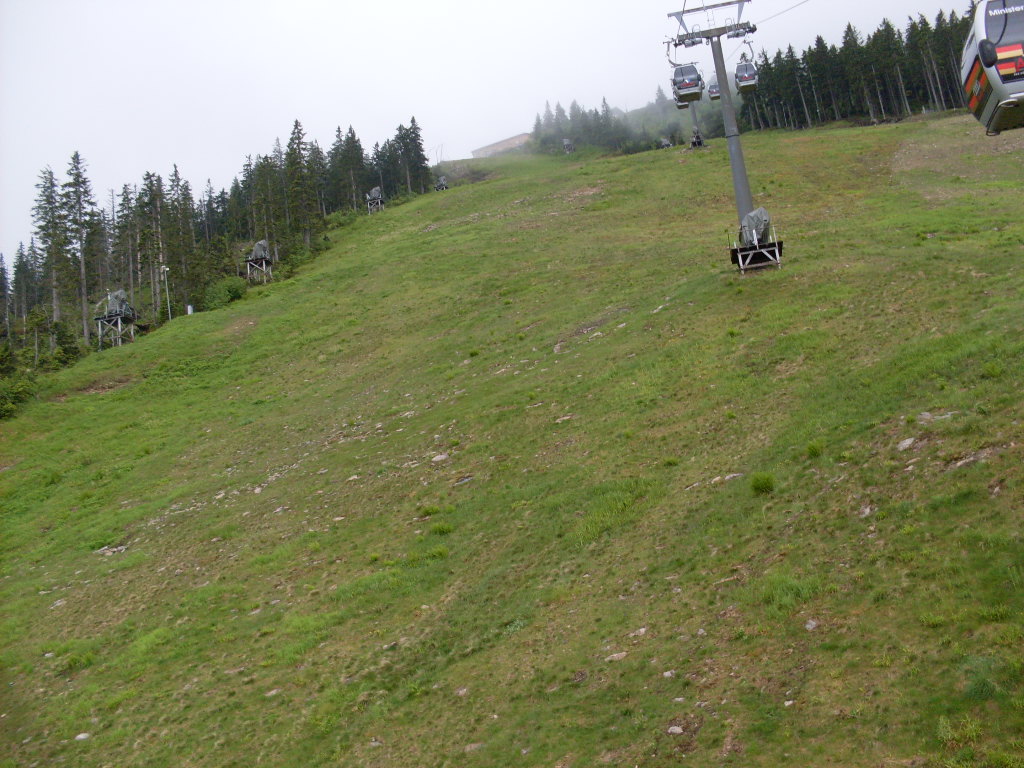 GroBer-Arber-2012-06-10-060.jpg