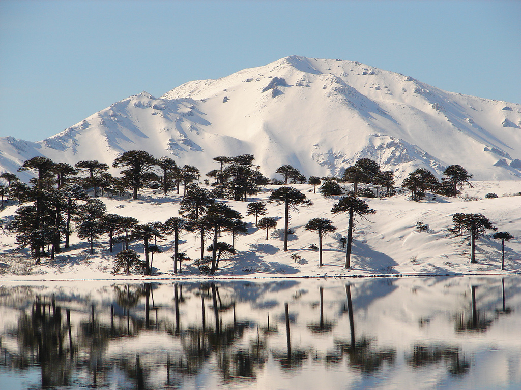 Fotó: Turismo de Neuquén