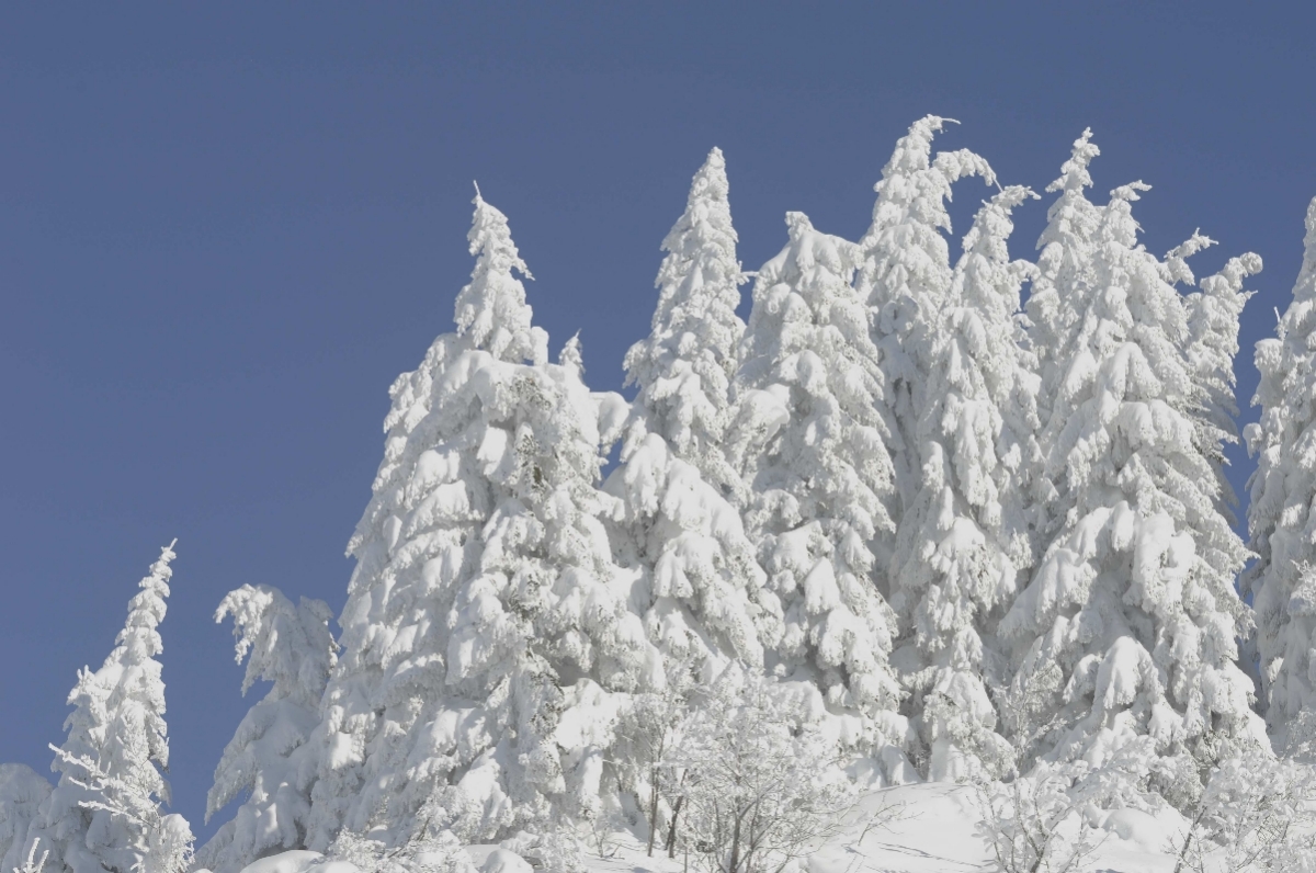 Havas táj az Arlberg régióban - Fotó: Mallaun