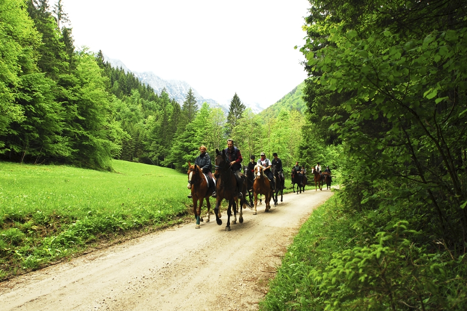 Kalkalpen Nemzeti Park
