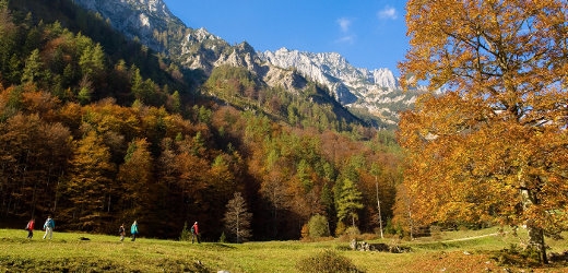 Kalkalpen Nemzeti Park