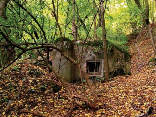 Thayatal Nemzeti Park