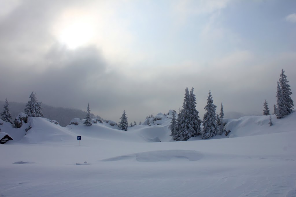 Zavizan (HR) - http://www.hpd-jastrebarsko.hr