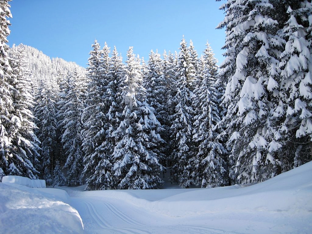 Séta a hegycsúcsra