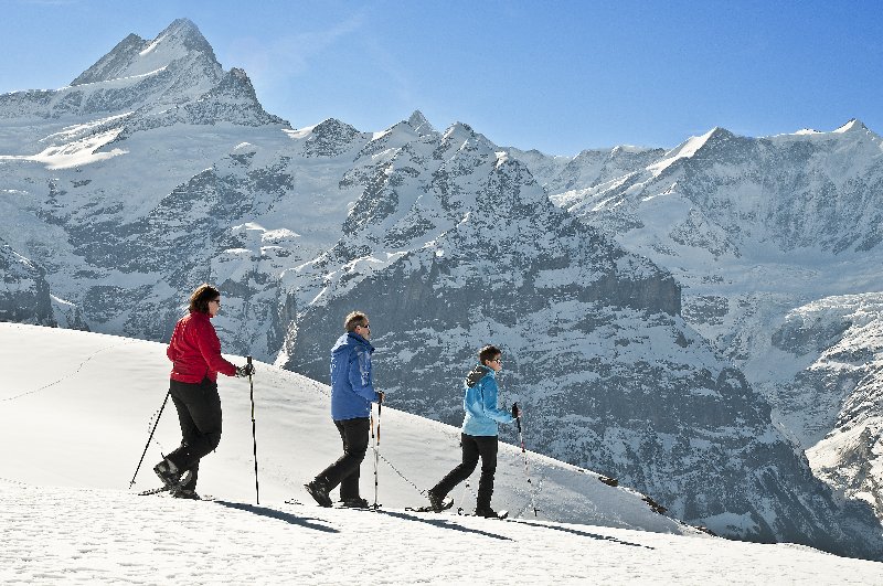 Grindelwald hótalpas túra / Svájc