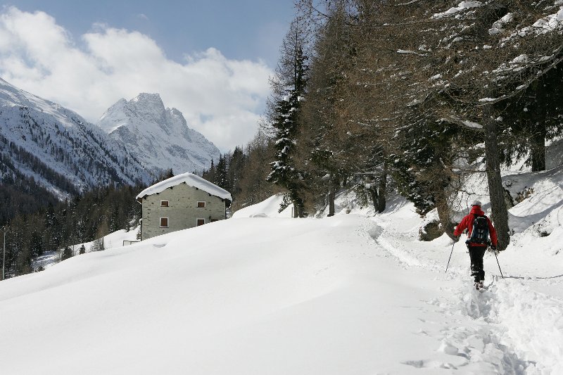 bormio12.jpg