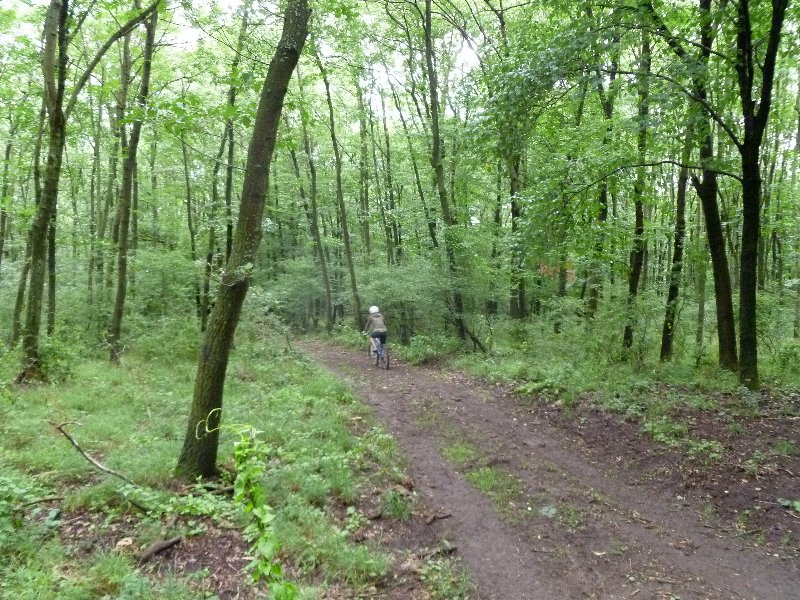 P1040882.JPG